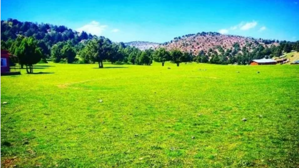 KONYA GÜNEYSINIR HABİLLER KÖYÜNDE 4.648 M² BAĞ SATILIKTIR - KONYA GÜNEYSINIR fotoğraf 10